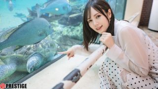 涼森れむ『超高級デートクラブ』レビュー｜プレステージの見どころ